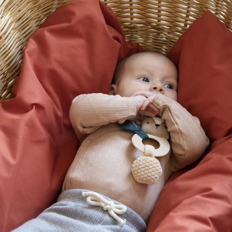 Sebra  Baby Aktivitäts-Rassel Bär  Milo