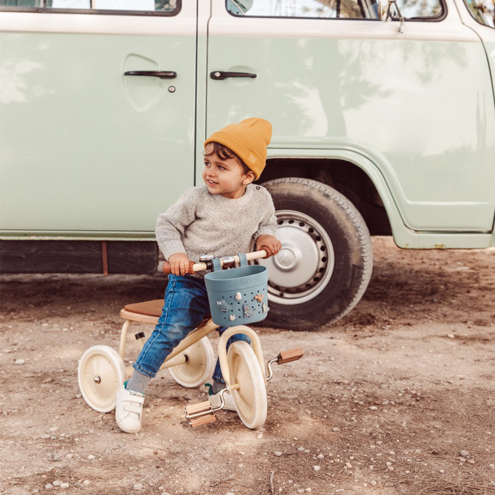 Banwood Panier 'Pin & Ride' Teal