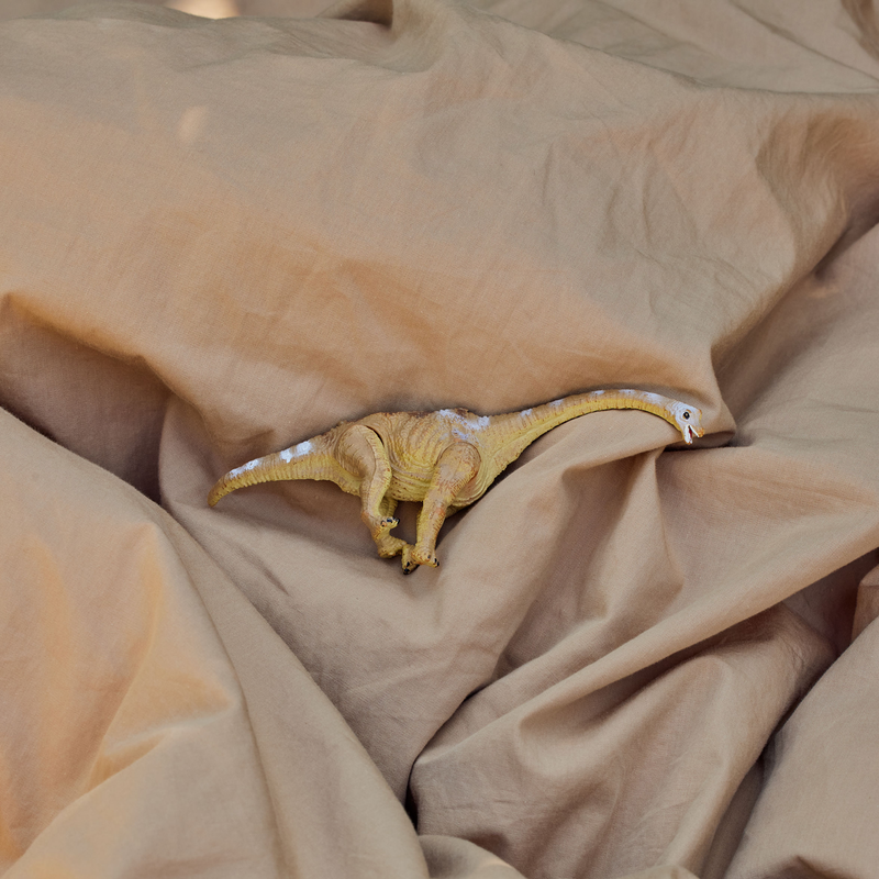 Dear April  Junior Bettwäsche 100 x 135 cm  Sandy Feet - Online MY SNOWFLAKE