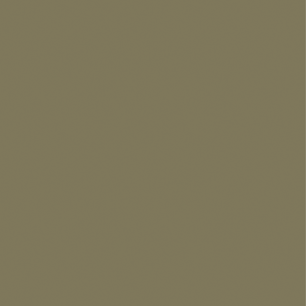 Farrow & Ball  Dead Flat  Dibber 312
