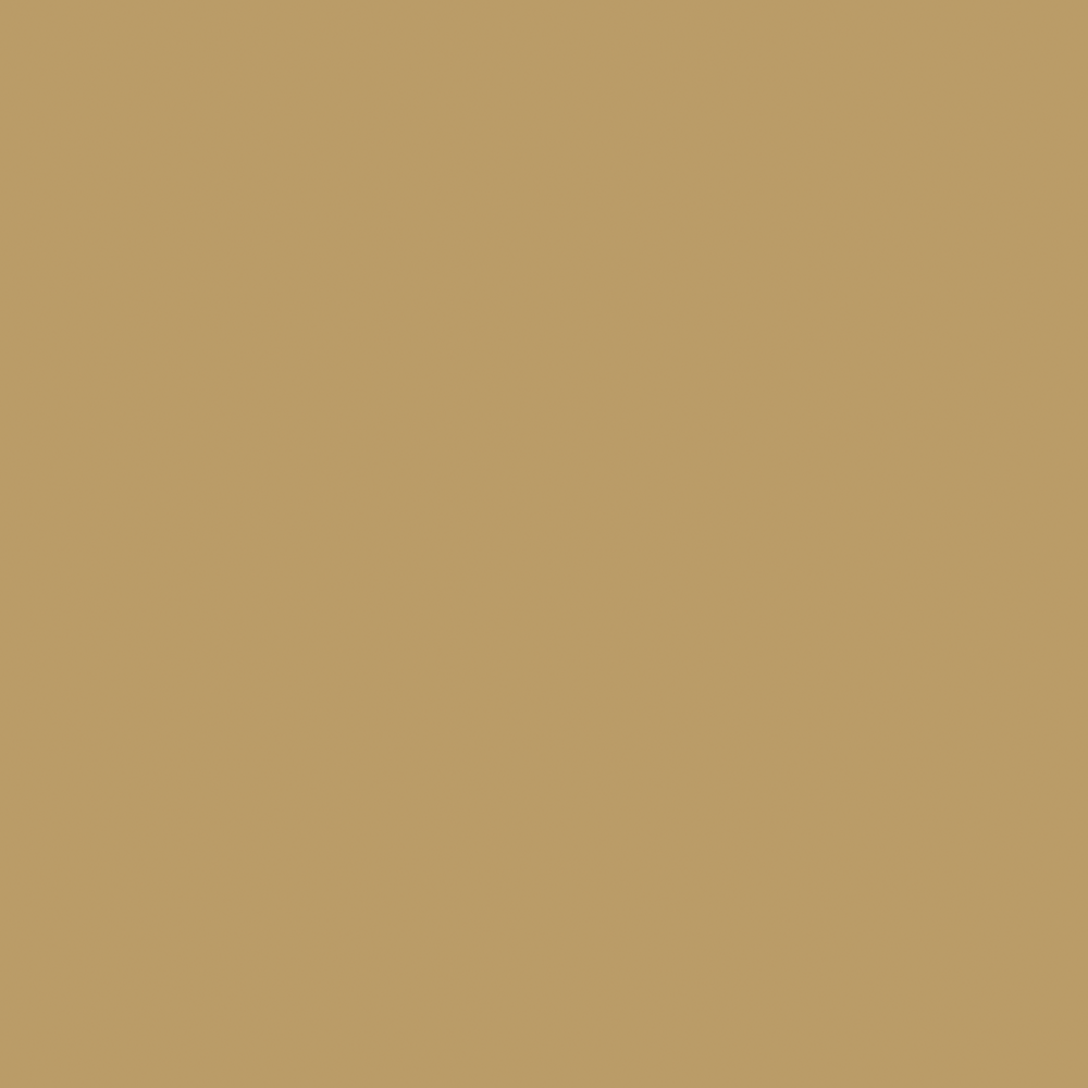 Farrow & Ball Dead Flat Duster 319