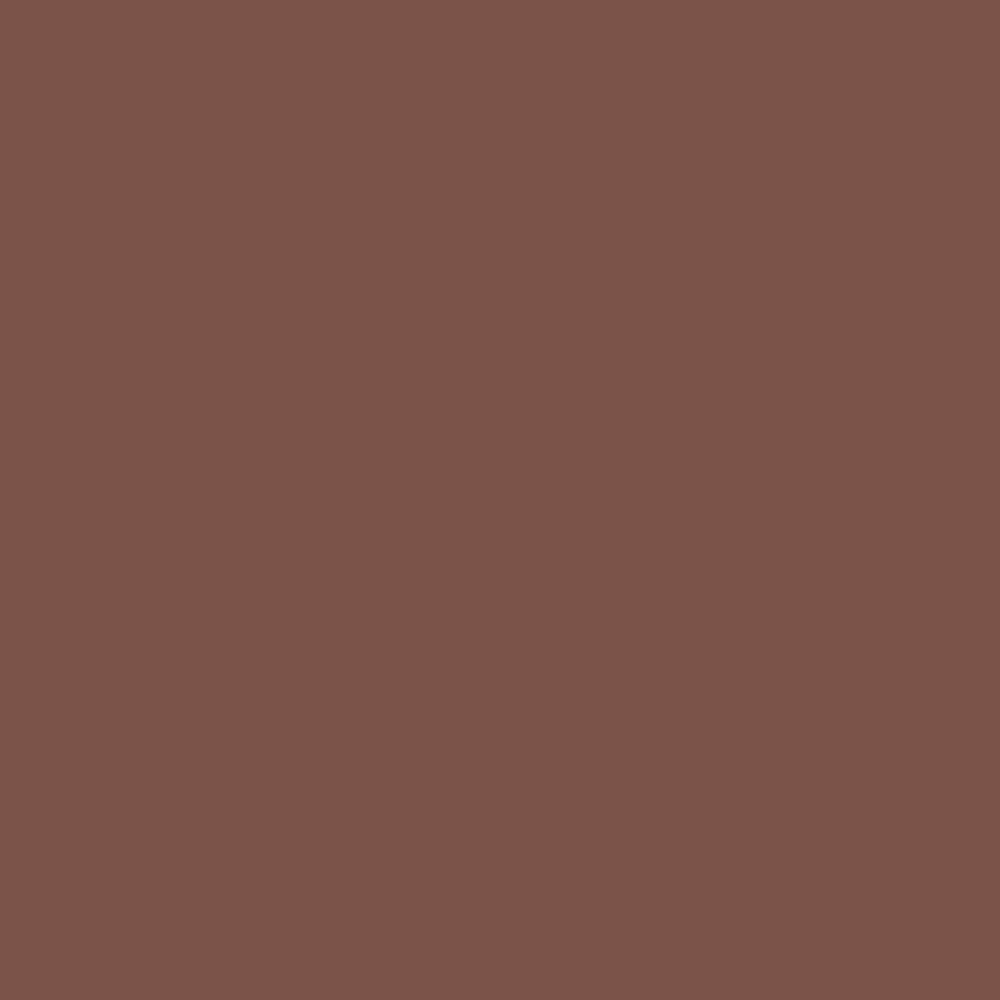 Farrow & Ball  Modern Emulsion Etruscan Red 56