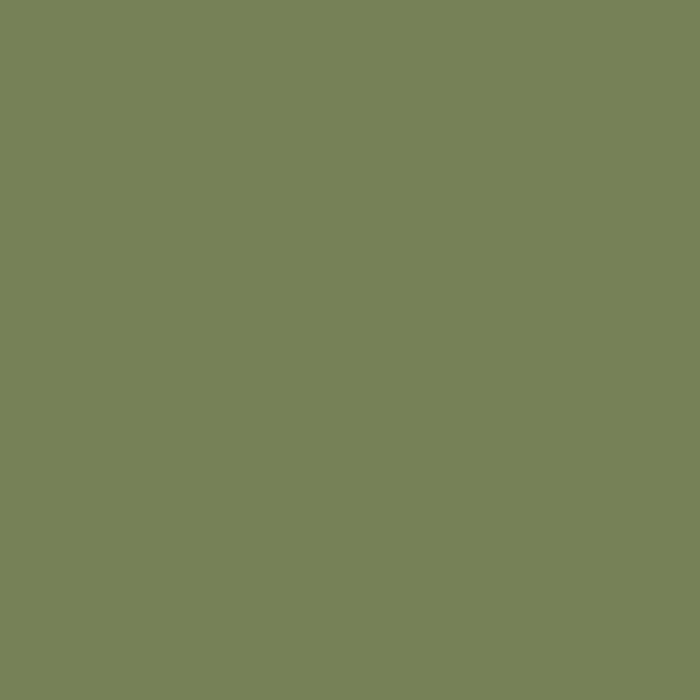 Farrow & Ball Modern Emulsion Sap Green 199