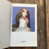 Afghanischer Windhund (Afghan Hounds), Bücher-Set