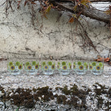 OBERGLAS, Gläserset "Starflower"