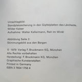 Sicherheit am Berg heute