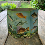 Magnetic Fishing Game