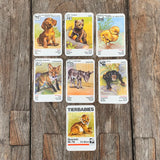 TIGER SPIELE Quartett, Tierbabies