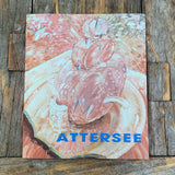 Attersee, Buch