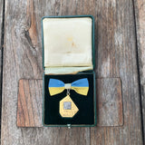 Österr. Gebirgsverein Vereinsmeisterschaften 1969, Anstecknadel