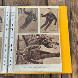 Skisport-Mappe, 1950/60er-Jahre