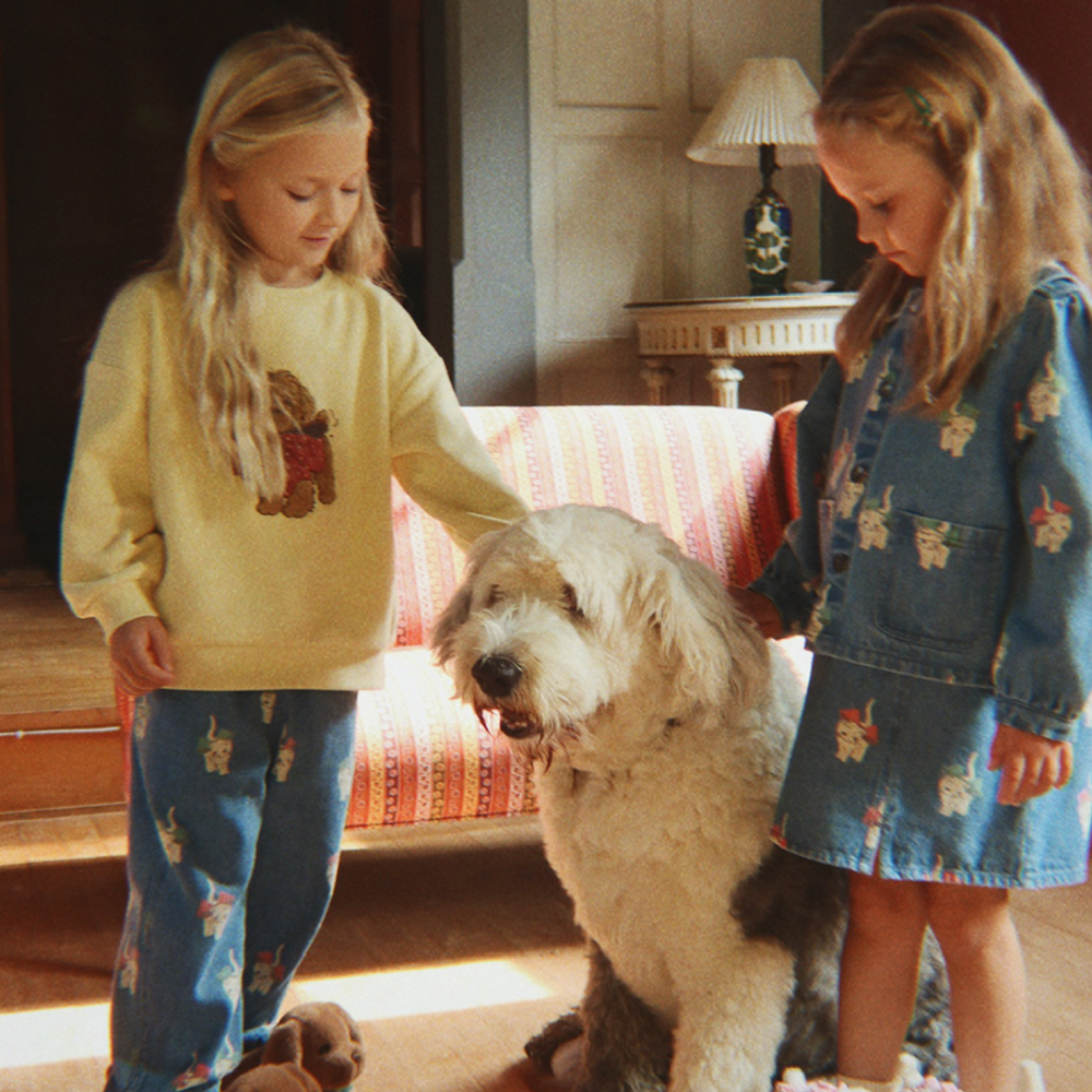 Konges Sløjd Pull-over « Puppy » Shake it