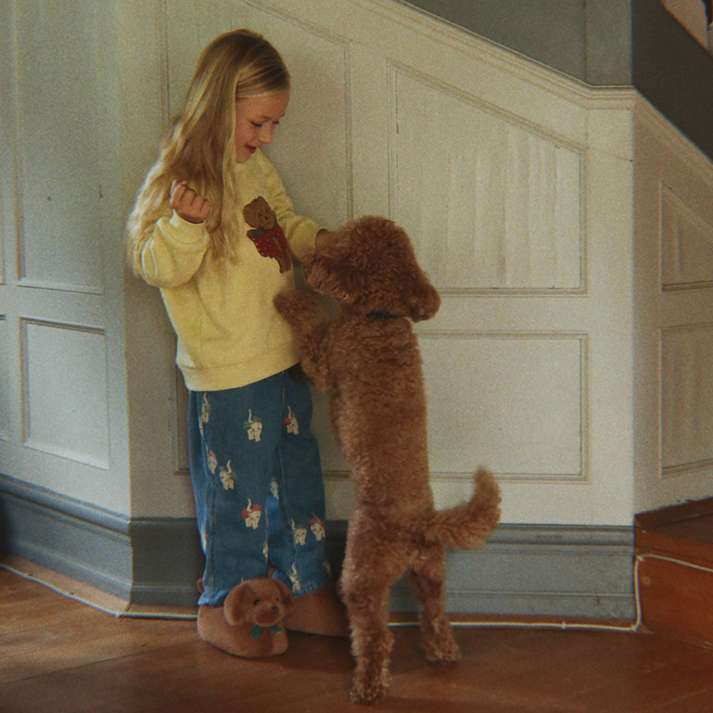 Konges Sløjd Pull-over « Puppy » Shake it