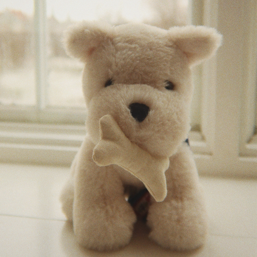 Konges Sløjd Plush Toy Puppy with Bag 'Terry Puppy' Coeur Coloré