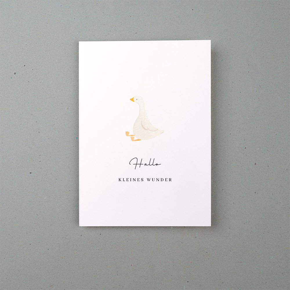 Liljendal Greeting Card Birth & Baby 'Hello Little Miracle' Goose