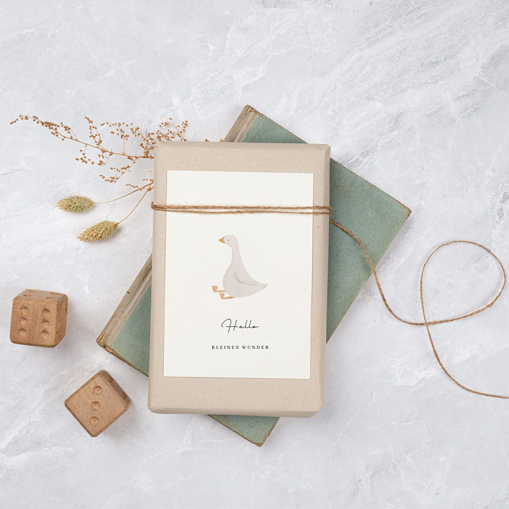 Liljendal Greeting Card Birth & Baby 'Hello Little Miracle' Goose