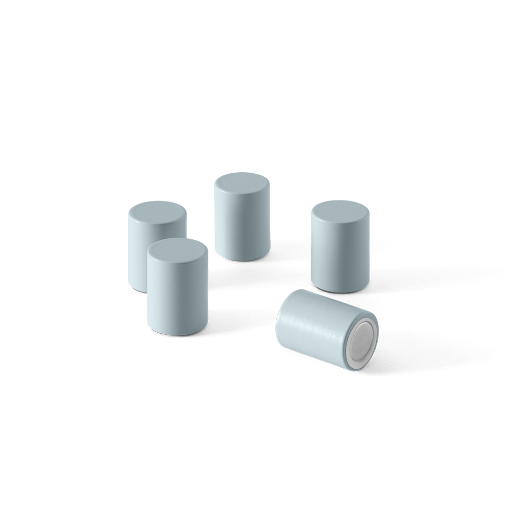 Montana Magnete für Magnettafel 5er-Set Flint