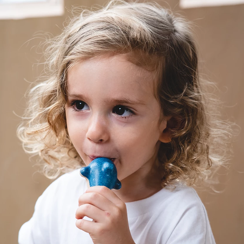 PlanToys Sifflet dauphin