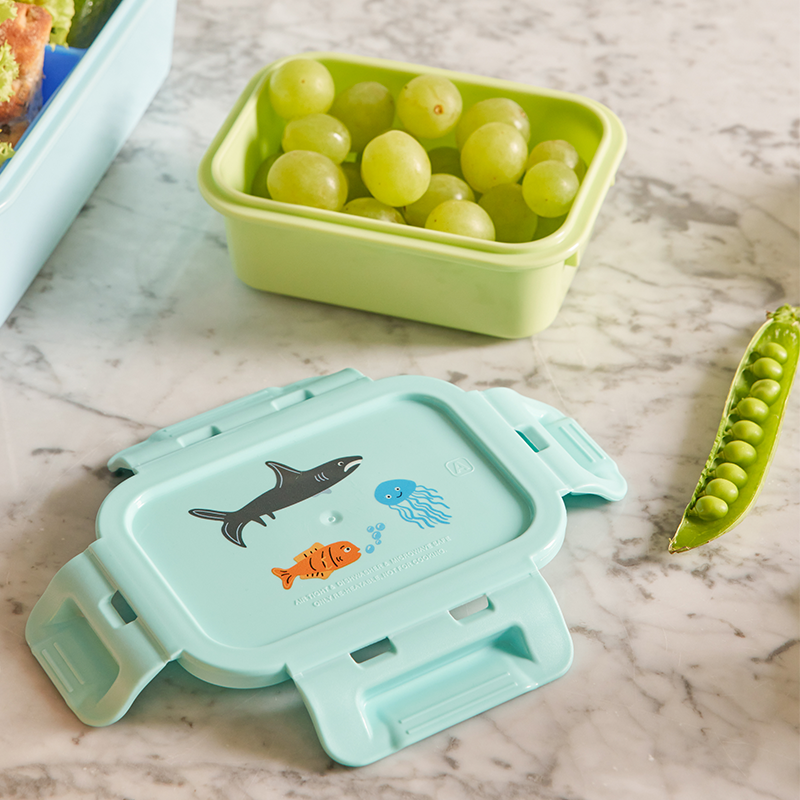 Rice  Kinder Lunchbox Klein 'Wildlife' Mint