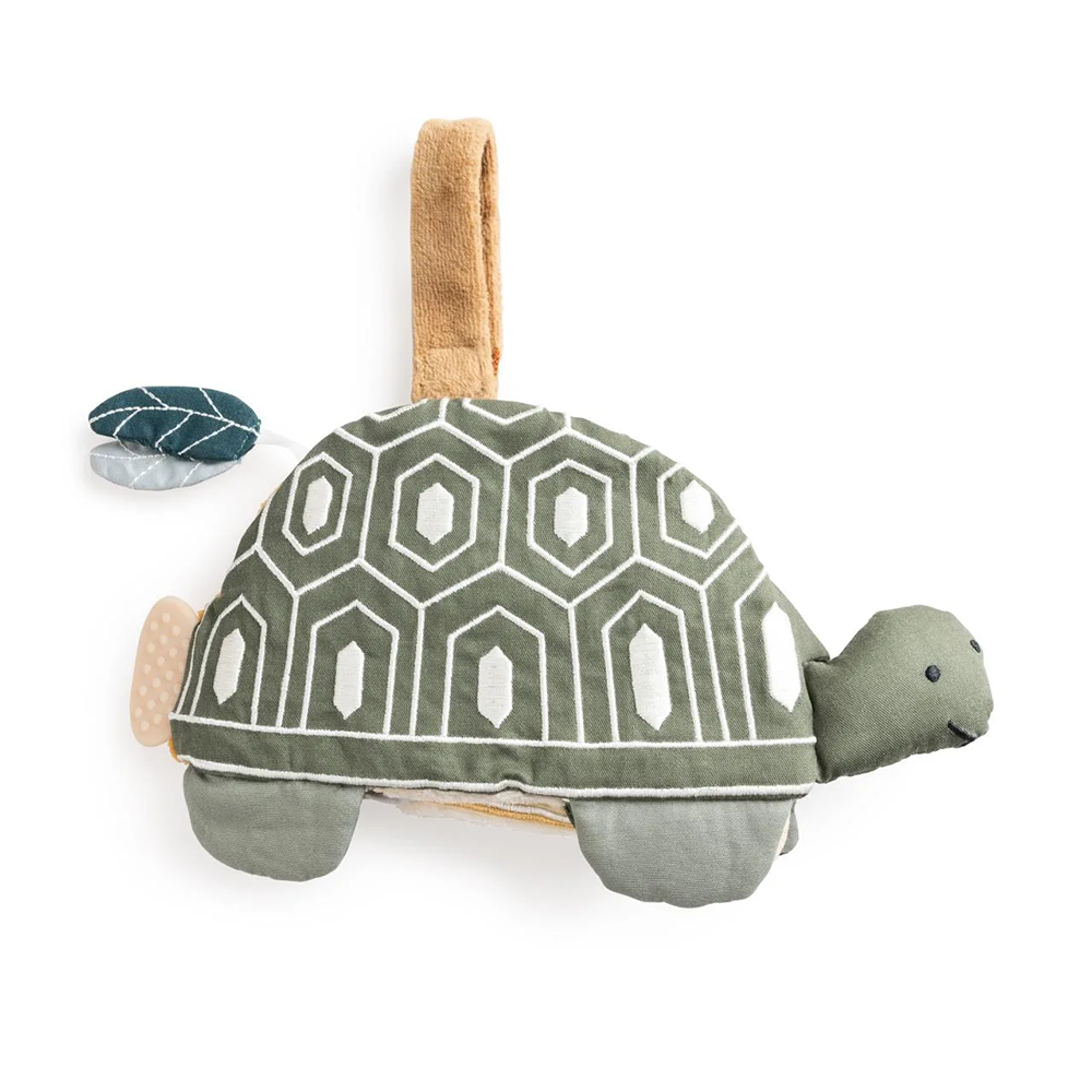 Sebra Aktivitätsbuch 'Turbo die Schildkröte' Grün - Online MY SNOWFLAKE