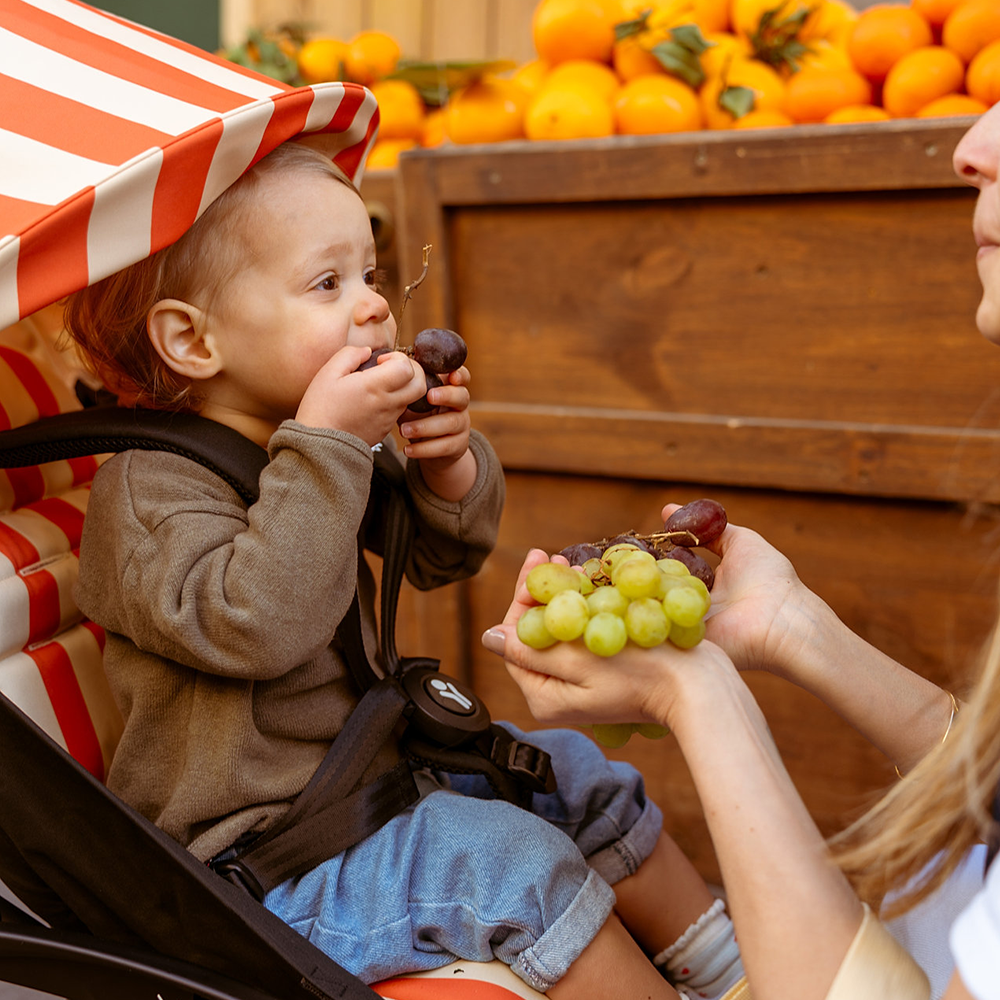 Stokke®  YOYO³ 6+ 'Riviera Collection' Bezug  Capri
