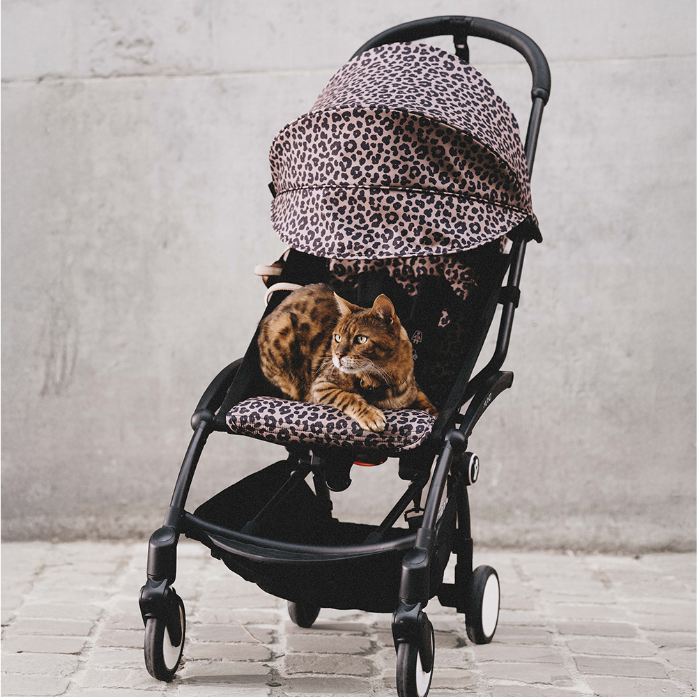 Stokke YOYO³ 6+ 'Wild Collection' Black/Leopard