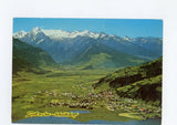 Zell am See-Schüttdorf