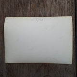 Wiener Internationale Gartenschau 1964