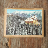 Semmering Südbahnhotel, Druckplatte