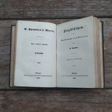 CARL SPINDLER Lenzblüthen