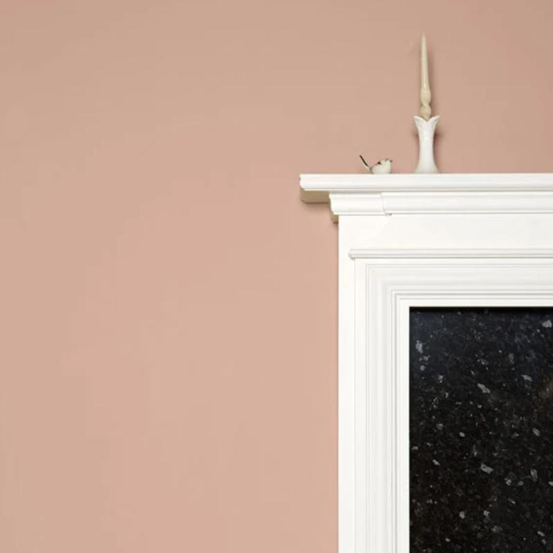 Farrow & Ball  Modern Emulsion  Dead Salmon 28