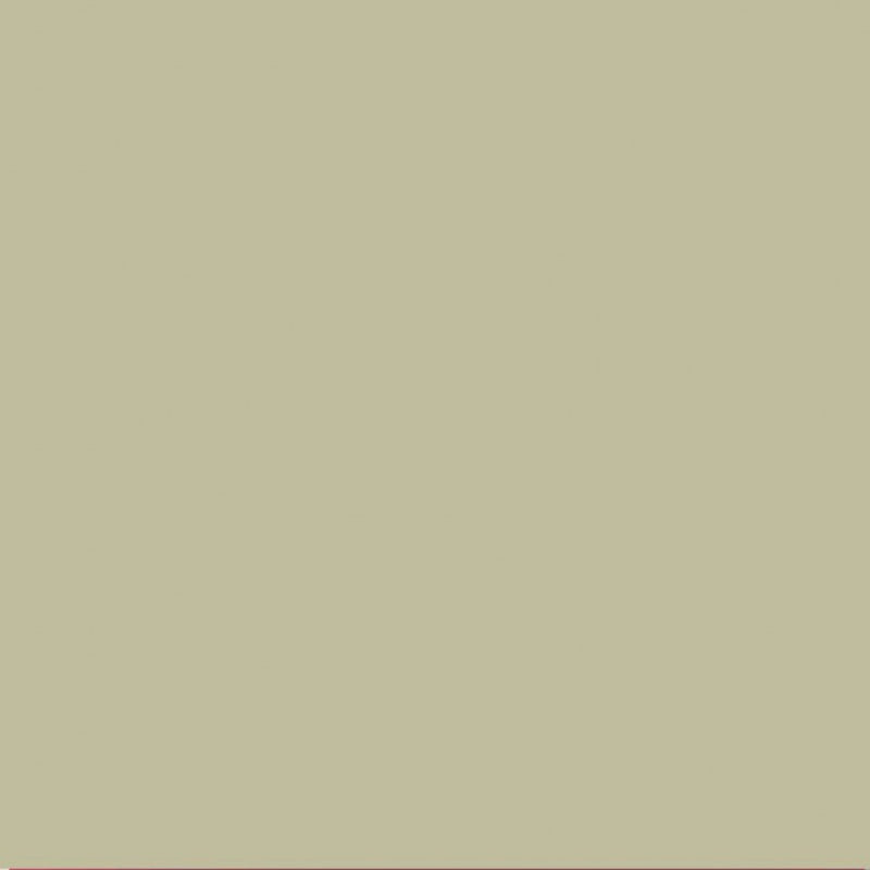 Farrow & Ball Estate Emulsion Archive Ash Grey W9
