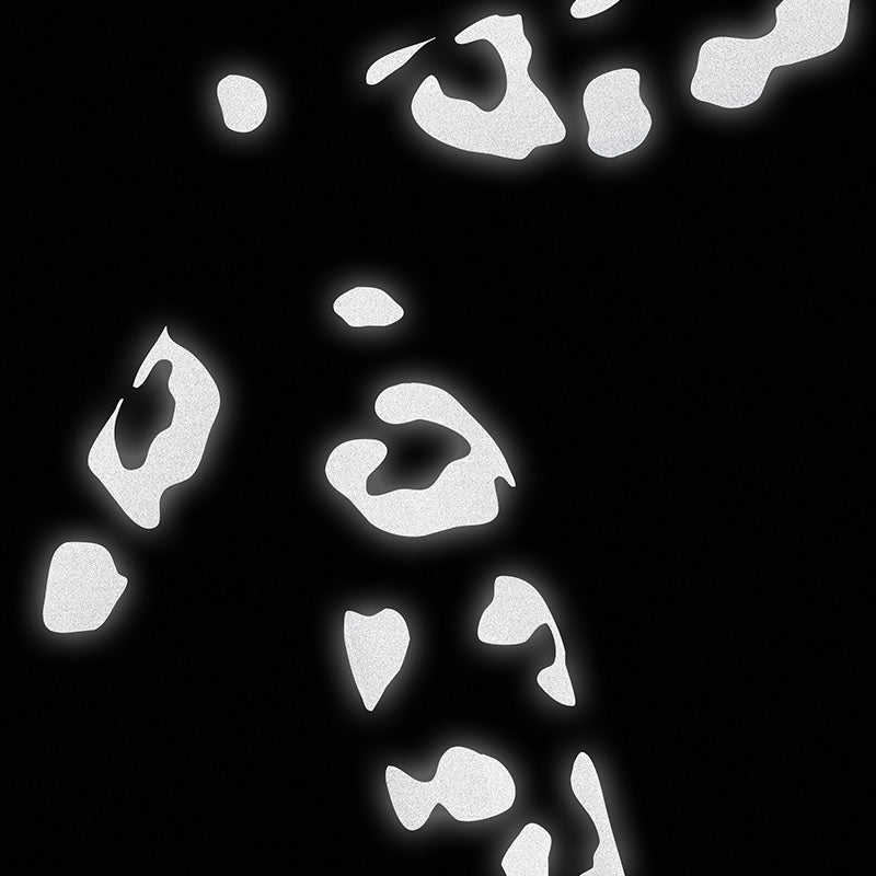 Bookman  Reflektierende Leopard Sticker  Black - Online MY SNOWFLAKE