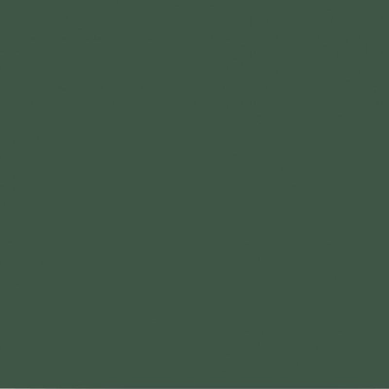 Farrow & Ball Estate Emulsion Archive Duck Green W55