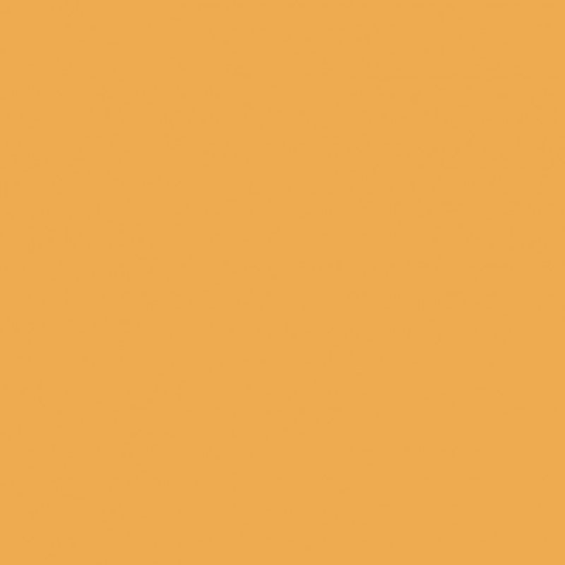 Farrow & Ball Modern Emulsion Archive Dutch Orange W76