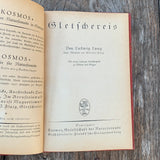 GLETSCHEREIS