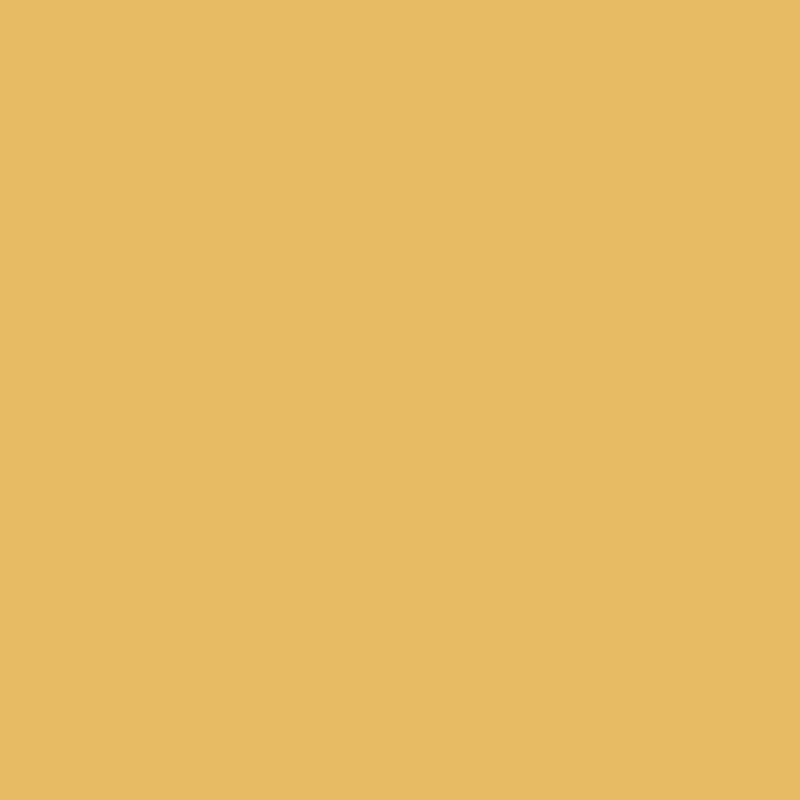 Farrow & Ball Modern Emulsion Babouche 223