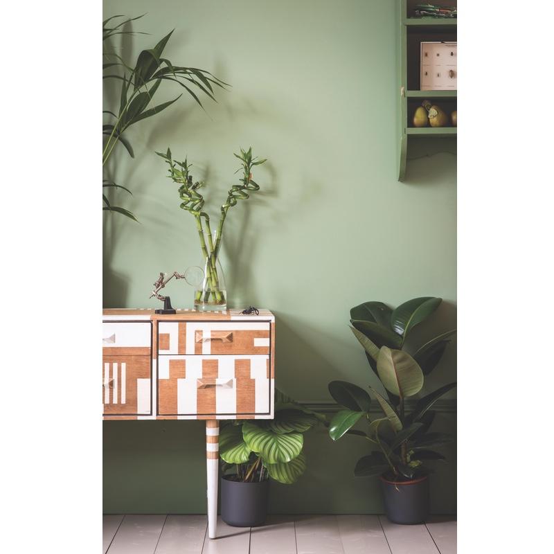 Farrow & Ball  Estate Emulsion  Breakfast Room Green 81 - Online MY SNOWFLAKE