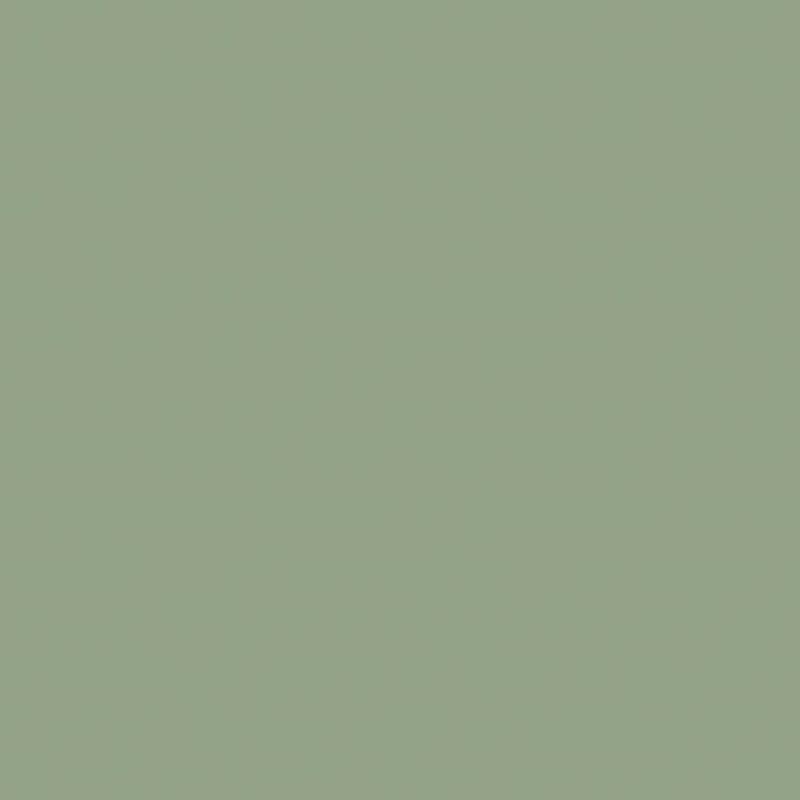 Farrow & Ball Modern Emulsion Breakfast Room Green 81