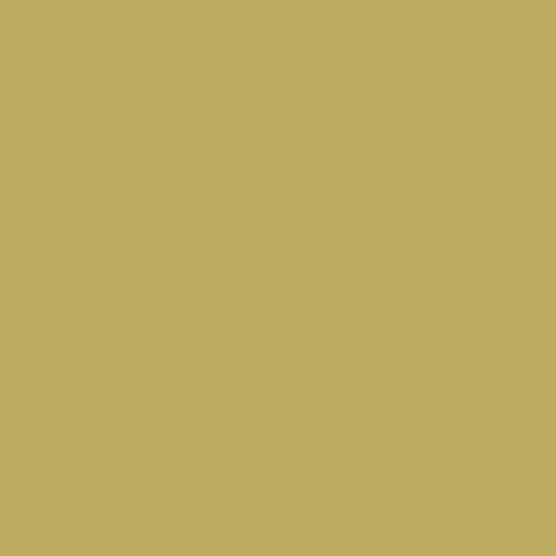 Farrow & Ball <br/> Estate Emulsion <br/> Churlish Green 251,Decken & Wände, Farrow & Ball - SNOWFLAKE kindermöbel concept store