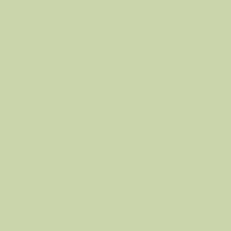 Farrow & Ball <br/> Estate Emulsion <br/> Cooking Apple Green 32,Decken & Wände, Farrow & Ball - SNOWFLAKE kindermöbel concept store