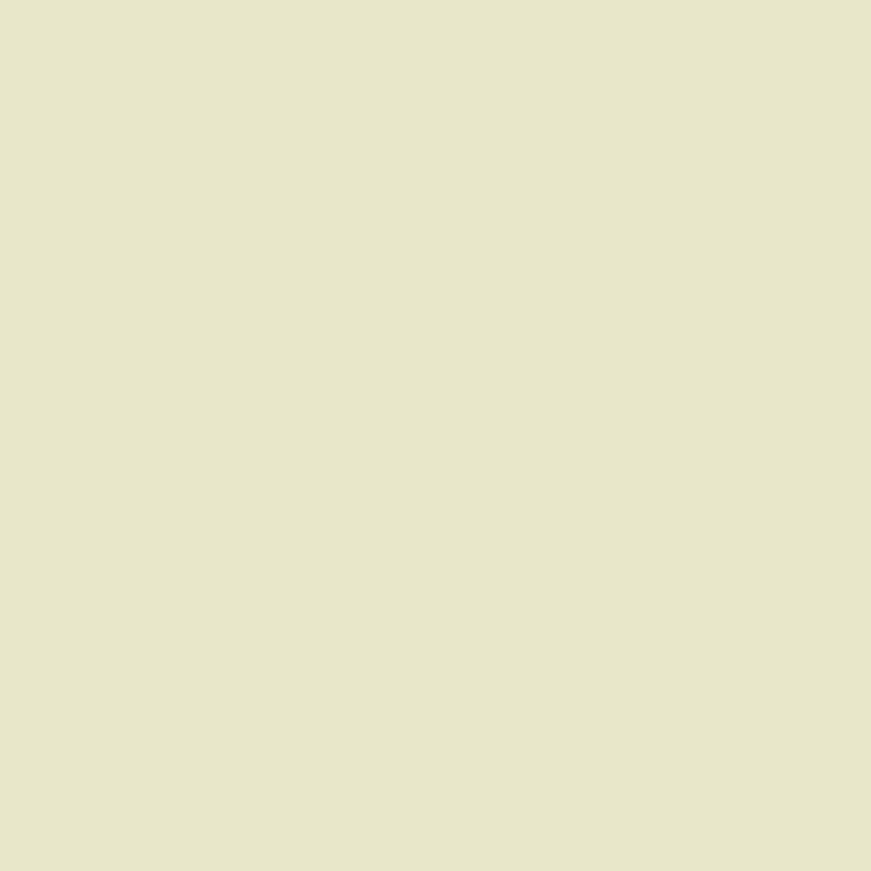 Farrow & Ball <br/> Estate Emulsion <br/> Green Ground 206,Decken & Wände, SNOWFLAKE kindermöbel concept store - SNOWFLAKE kindermöbel concept store