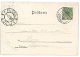 Fuchs Feldhase