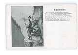 Edelweiss