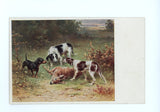 Jagdmotiv, Hunde mit erlegtem Rehbock