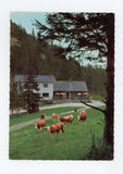 Trattenbach, Kummerbauerstadl