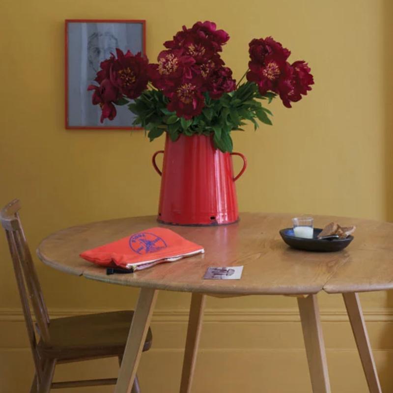 Farrow & Ball  Modern Emulsion  India Yellow 66