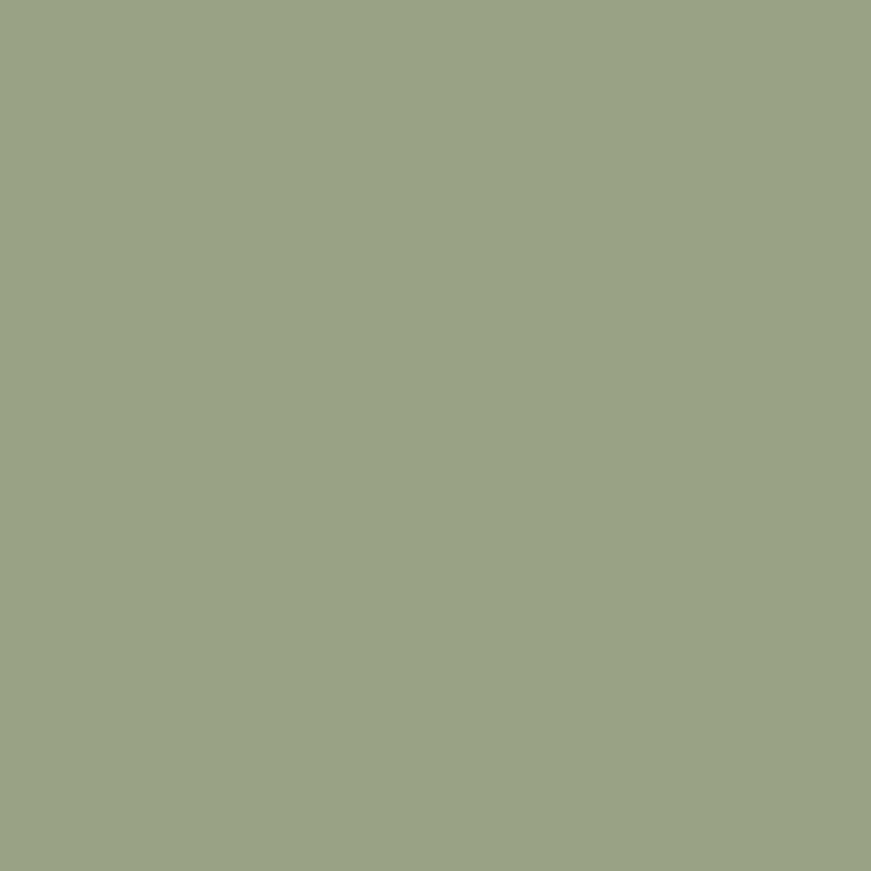 Farrow & Ball <br/> Estate Emulsion <br/> Lichen 19,Decken & Wände, SNOWFLAKE kindermöbel concept store - SNOWFLAKE kindermöbel concept store