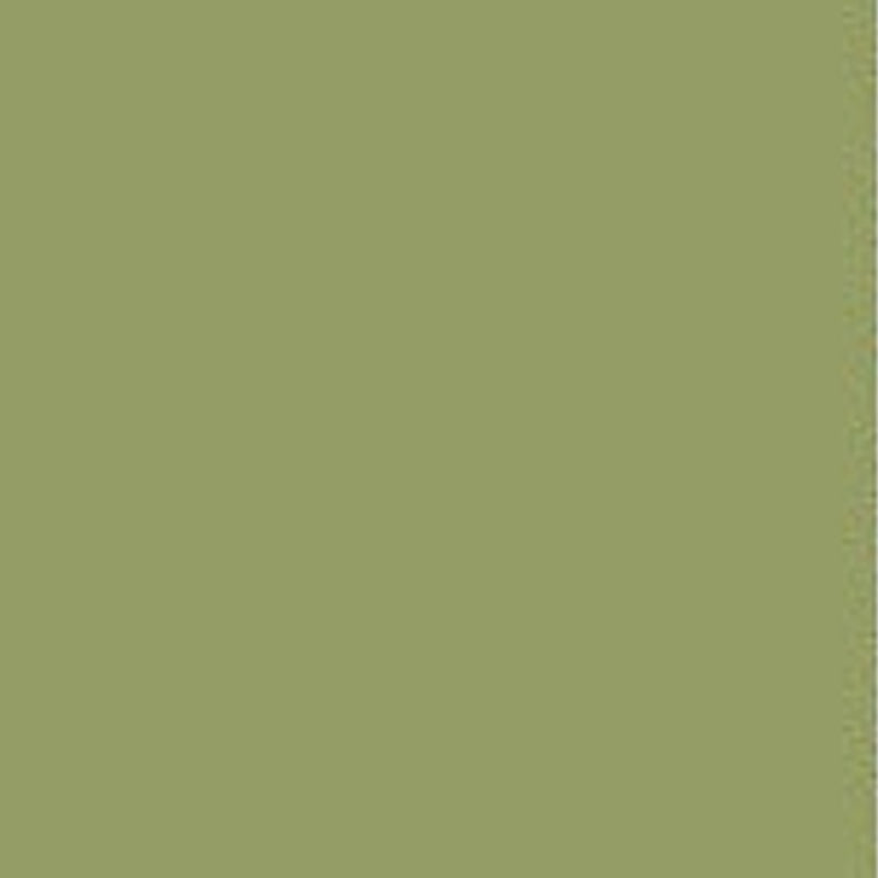 Farrow & Ball Estate Emulsion Archive Olive 13