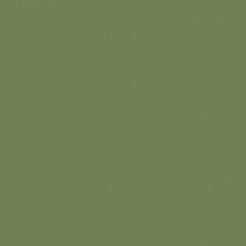 Farrow & Ball Modern Emulsion Archive Sap Green W56